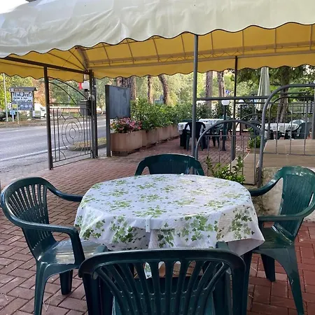 Отель Franca 2*